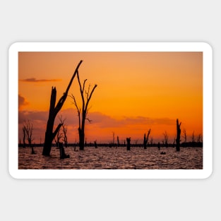 Lake Mulwala, Yarrawonga, Victoria, Australia Sticker